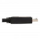 Tripp Lite Displayport to HDMI Adapter Active Displayport 1.2a to HDMI, Dp to HDMI M/m 10ft - Adap