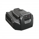 Ch2100 56-Volt Lithium-Ion Standard Charger