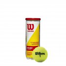 WILSON Championship Tennis Balls - Extra Duty, 4 Can Pack (3 Balls)