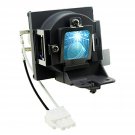 Lanwande RLC-098 Replacement Lamp Bulb with Housing for VIEWSONIC PJD6552LW PJD6552LWS Pro