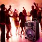 Rechargeable 12 Inch Bluetooth Portable Party Speaker With Party Lights, Fm Radio And Usb/