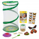 Butterfly Mini Garden Gift Set with Live Cup of Caterpillars 