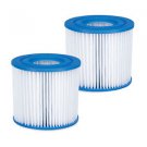 Summer Waves P57000102 Replacement Type D Pool and Spa Filter Cartridge, 2 Pack