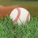 Sports Fanatic Baseball Beverage Napkins 18 Pack Birthday Party Decorations