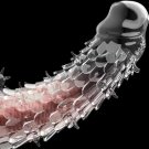 Penis Sleeve Cock Sleeve Male Sex Toy, Transparent Penis Extender Enlargerment Girth Enhancer For Me Penis Sleeve Cock Sleeve Male Sex Toy, Transparent Penis Extender Enlargerment Girth Enhancer For Me