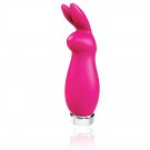 Crazzy Bunny Vibrator Bullet, Rechargeable Clitoral Adult Sex Toy, Clitoris Stimulator Vibe For Wome Crazzy Bunny Vibrator Bullet, Rechargeable Clitoral Adult Sex Toy, Clitoris Stimulator Vibe For Wome