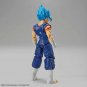 DBS Figure-rise Standard Vegetto SSGSS
