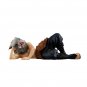 G.E.M. Series Demon Slayer Tenohira Inosuke Hashibira