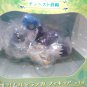 Ranga Rimuru Figure Authentic Japan Ichibansho Tempest Day A Prize