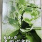 Authentic Japan Sanemi Shinazugawa Figure Ichibansho Demon Slayer Hashira Training