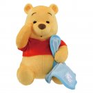 Authentic Japan Ichibansho Colorful Dreams Pooh Bear Plush