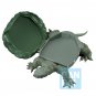 Authentic Japan Ichibansho JoJo Golden Wind Turtle Coco Jumbo Figure