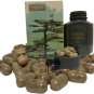 ORIGINAL 1 Box Ginseng 60 Pill Herb Vitamin Supplement Increase Appetite Weight Gain Make Body Fat