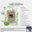 100-500 Capsule Blumea Balsamifera Sambong Leaves 600mg Cholesterol Kidney Blood Health NO CHEMICALS