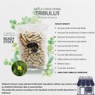 100-500 Capsule Tribulus Terrestris 600mg Testosterone Booster Sexual Health Prostate NO CHEMICAL 100-500 Capsule Tribulus Terrestris 600mg Testosterone Booster Sexual Health Prostate NO CHEMICAL
