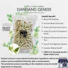 100-500 Capsules Sabah Snake Grass 600mg Kidney Digestive Blood Immunity Body Health - NO CHEMICALS 100-500 Capsules Sabah Snake Grass 600mg Kidney Digestive Blood Immunity Body Health - NO CHEMICALS
