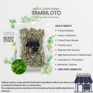 100-500 Capsule Andrographis Paniculata 600mg Blood Diabetic Immunity Body Health Cancer NO CHEMICAL