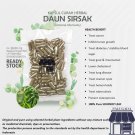 100-500 Capsule Graviola Soursop Leaf 600mg Blood Diabetic Health Rheumatic Cancer Cyst NO CHEMICAL 100-500 Capsule Graviola Soursop Leaf 600mg Blood Diabetic Health Rheumatic Cancer Cyst NO CHEMICAL