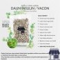 100-500 Capsule Insulin Yakon Leaf 600mg Diabetic Blood Sugar Digestive Health Diuretic NO CHEMICAL