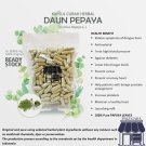 100-500 Capsule Papaya Leaf 600mg Diabetic Blood Stomach Throat Health Arthritis Herpes NO CHEMICAL
