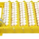 Hova-Bator GQF Automatic Egg Turner - Quail to Duck Egg