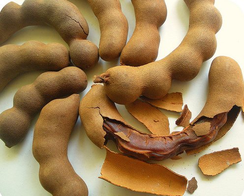 Sweet Tamarind Tree Tamarindus indica - 8 Seeds