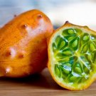 African Horned Melon Kiwano Cucumis metuliferus - 20 Seeds