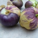 Organic Heirloom Husk Tomato Purple Tomatillo Physalis ixocarpa - 30 Seeds