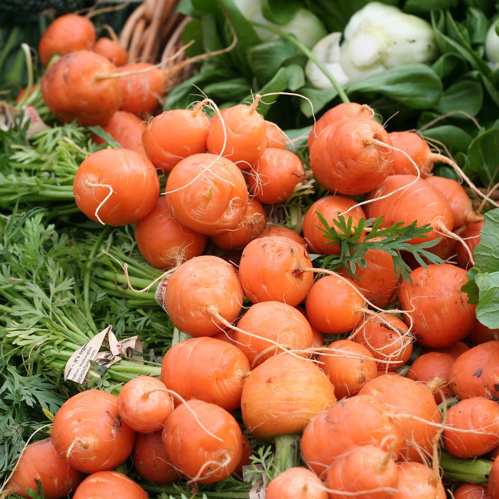 50 Round Carrot seeds Parisian Market
