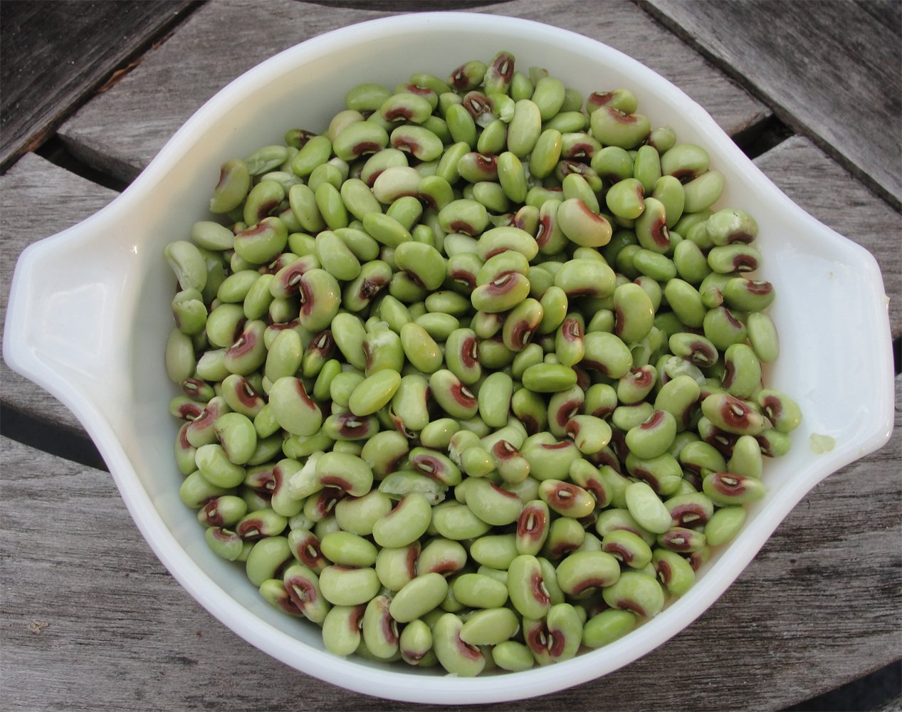 Heirloom Pink-Eyed Field Pea Heat Loving Vigna unguiculata - 80 Seeds