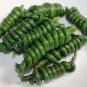 Organic Dark Green Bean Yard Long Vigna Unguiculata Sesquipedalis - 30 Seeds