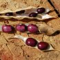 New! Heirloom Colombian Red Cargamanto Bean Heat Loving Rare Phaseolus Vulgaris - 30 Seeds