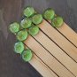 5 Large Decorative Wooden Plant Labels Green Glass Dewdrop