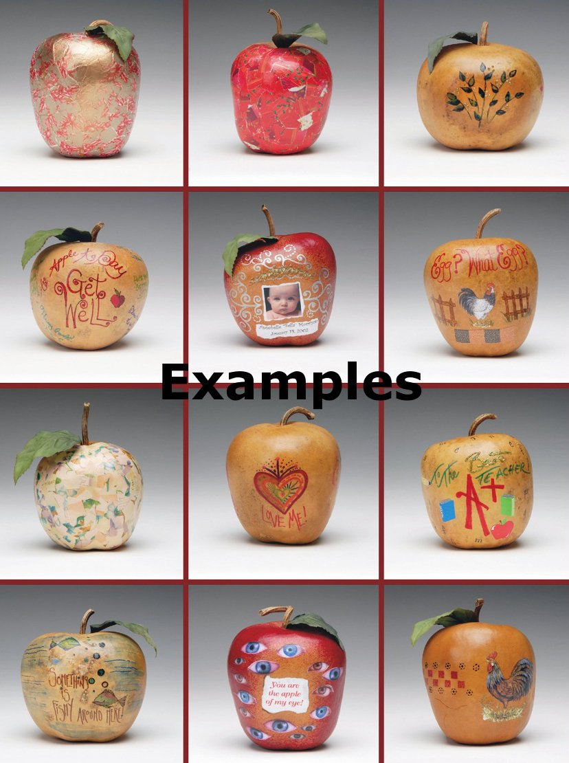 Heirloom Large Apple Gourd Lagenaria siceraria 8 Seeds