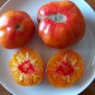 Organic Heirloom Sweet Pineapple Tomato Lycopersicon lycopersicum - 25 Seeds
