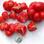Unusual German Heirloom Reisetomate Tomato Lycopersicon lycopersicum - 15 Seeds
