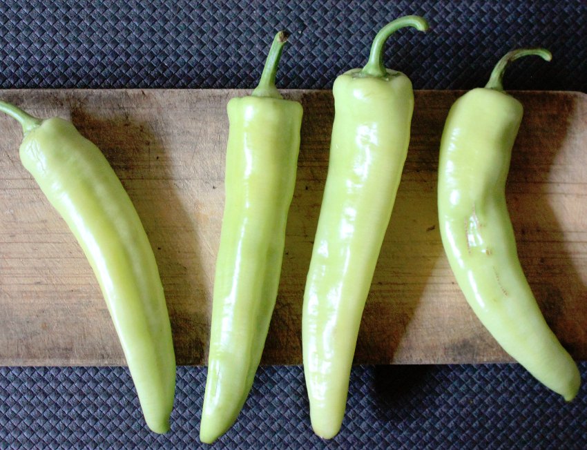 Heirloom Sweet Banana Pepper Capsicum annuum 50 Seeds