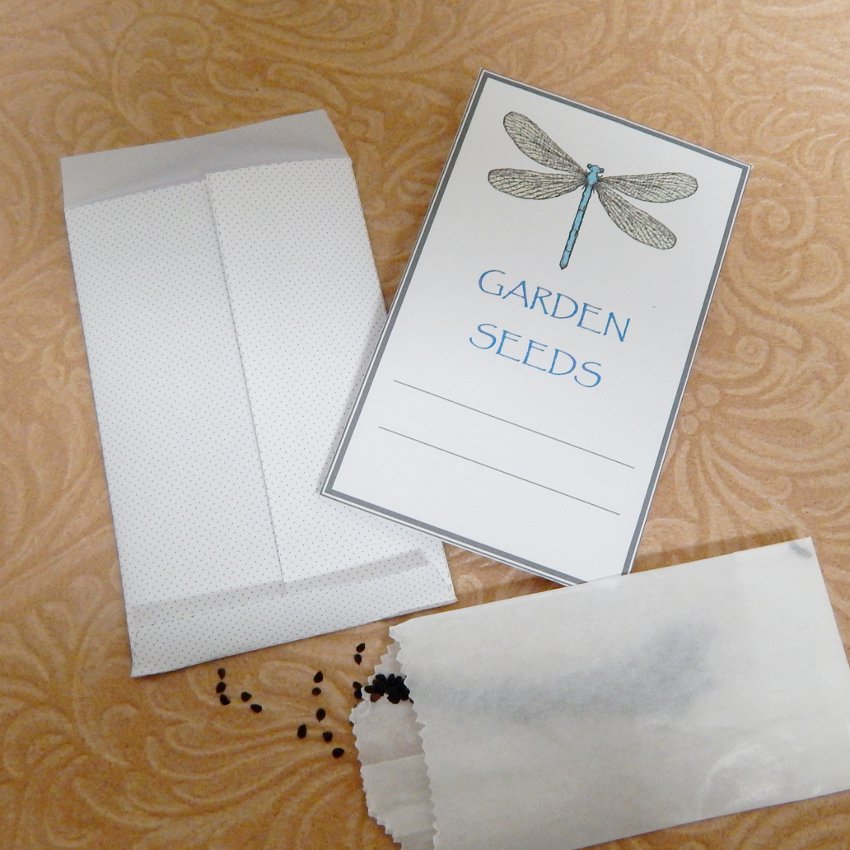 DIY Seed Envelope Printable Template Dragonfly