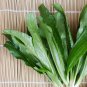 Bulk Asian Ngo gai Culantro Leaf Recao Eryngium foetidum - 1000 Seeds