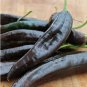 Chilaca Pepper Pasilla Bajio Chile Capsicum annuum - 20 Seeds