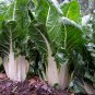 Organic Heirloom Leaf Beet Swiss Chard White Beta vulgaris - 250 Seeds