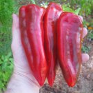 Giant Marconi Sweet Pepper Capsicum annuum - 30 Seeds