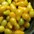 Organic Heirloom 'Yellow Pear' Tomato Lycopersicon lycopersicum - 30 Seeds