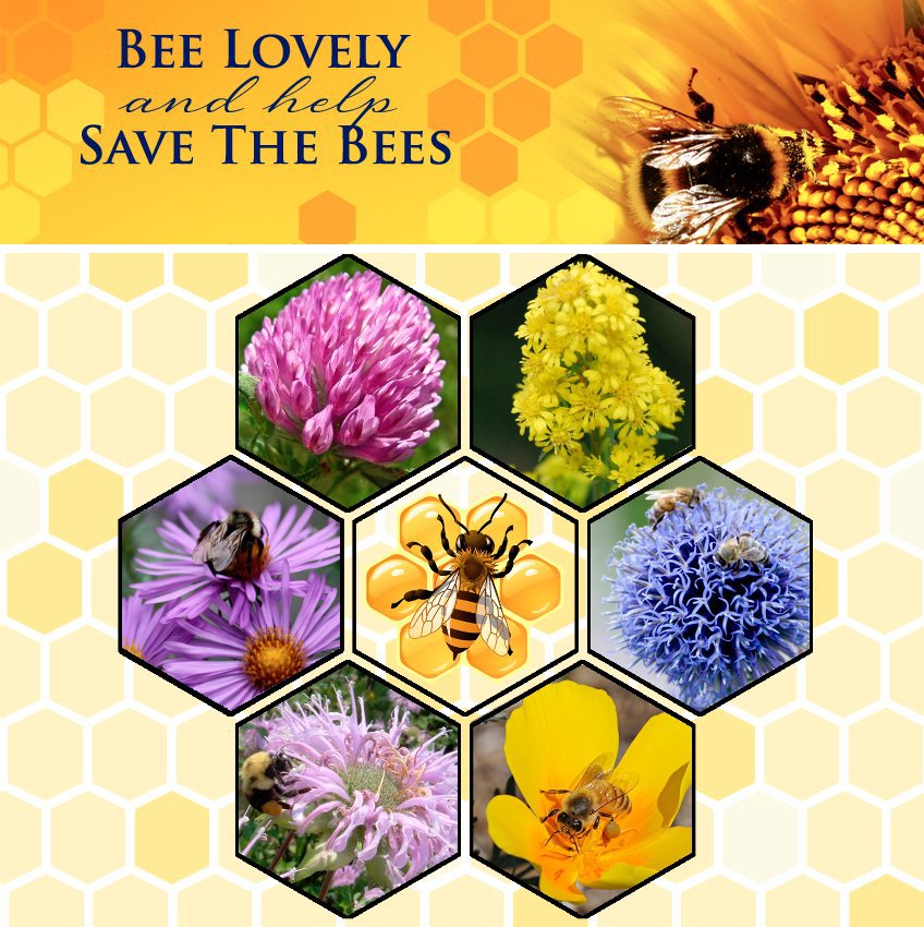 Feed the Bees Flower Seed Collection