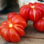 Organic Heirloom Tomato Rosso Sicilian Togetta Solanum lycopersicum - 20 Seeds