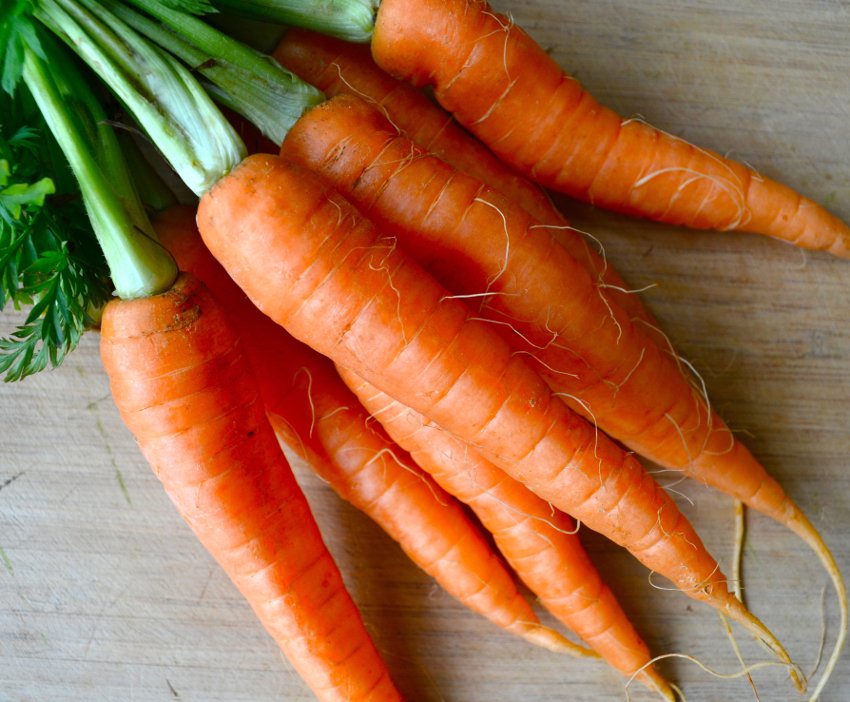 Organic Heirloom Tendersweet Carrot Seed Daucus Carota - 150 Seeds