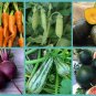 Baby's First Vegetables Organic Garden Seed Collection - 6 Varieties