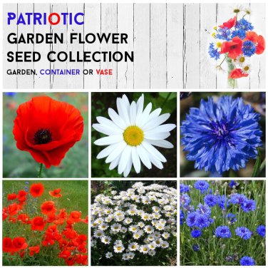 Red White and Blue Patriotic Garden Flower Seed Collection