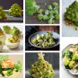 Chartreuse Heirloom Romanesco Broccoli Brassica oleracea - 100 Seeds