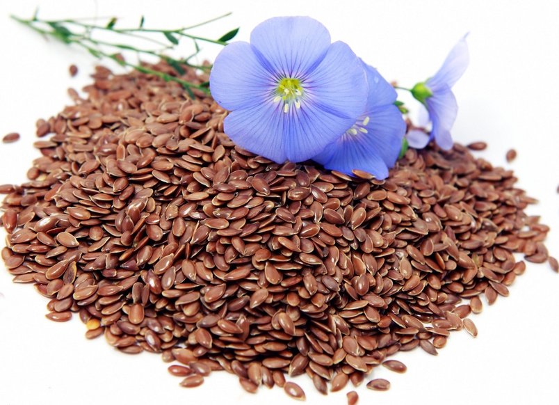 Organic Heirloom Edible Flax Linseed Linum usitatissimum 500 Seeds